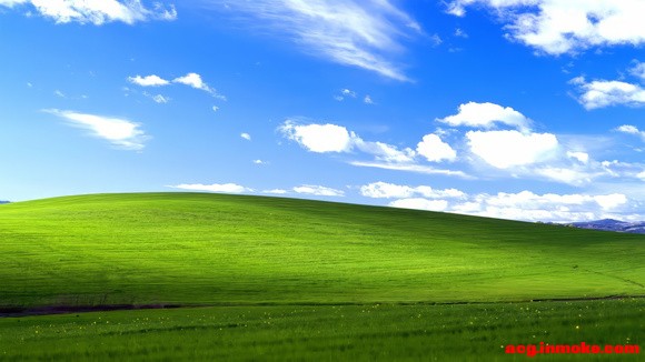 windowsXP��ֽ�ĸ���AI�޸���-1.jpg