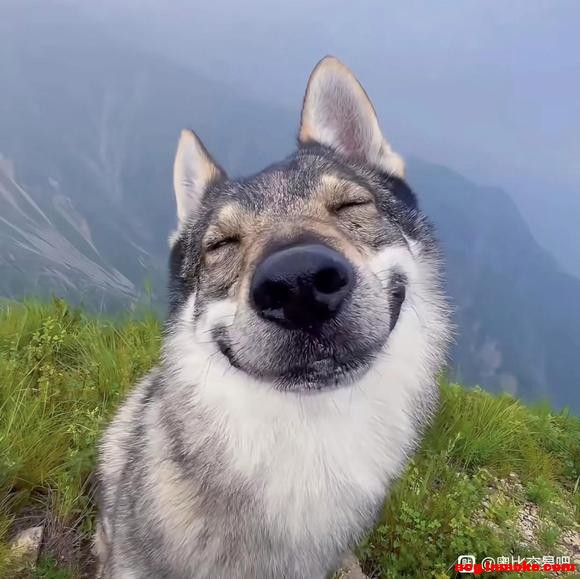 ������յ��������������Ʒ  ����(? ??_??)?-1.jpg