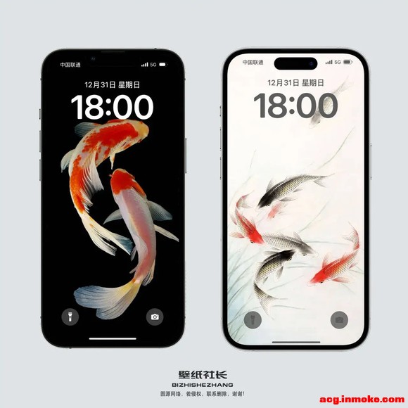 ��ֽ�Ƽ������� �����ֽ-1.jpg