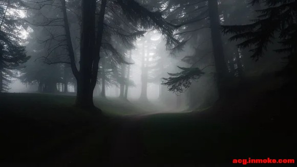 ʹ���ٻ���Ϸ��ֽ������������ô���أ�-3.jpg