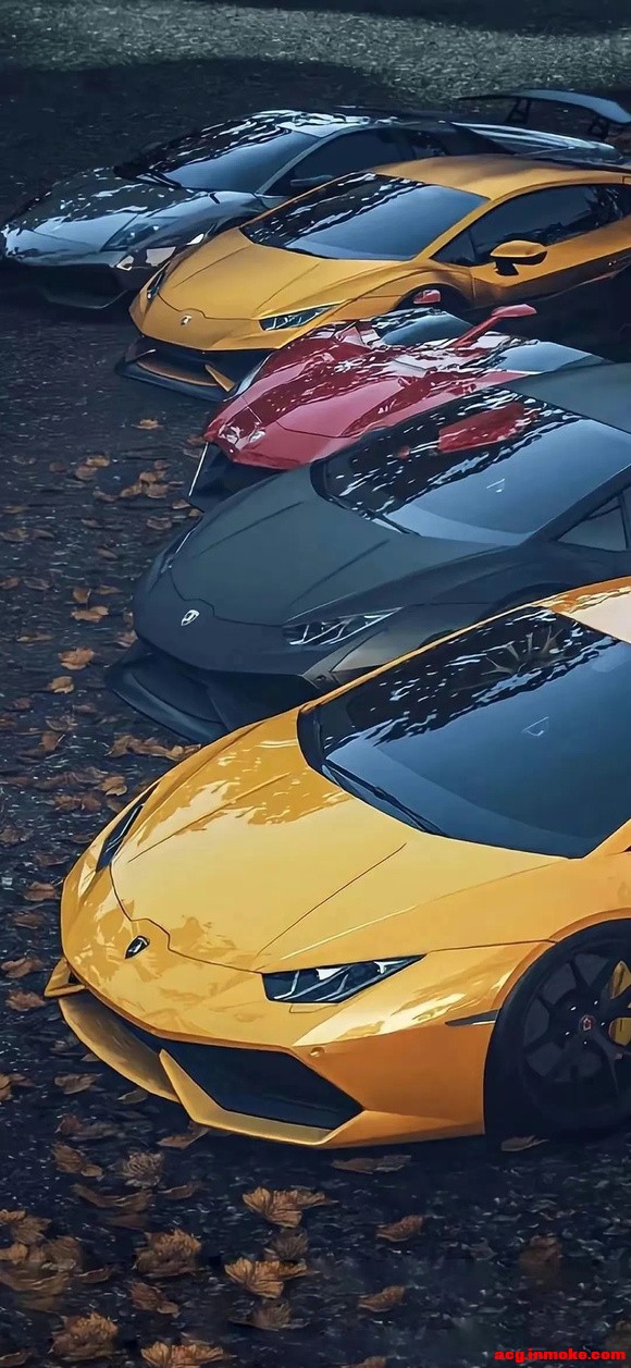 1��17�ո����ֽ����-9.jpg