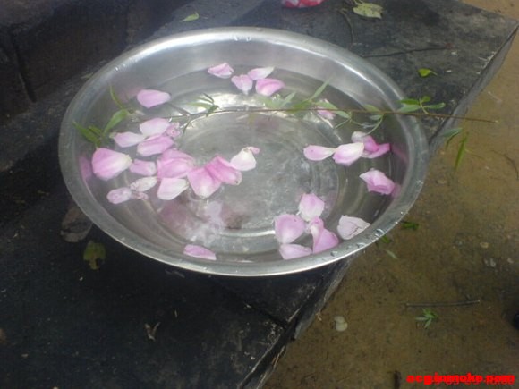 [�����ط�]�����꺺����������Ϫ�أ����Ƚڻ(20090329)-1.jpg