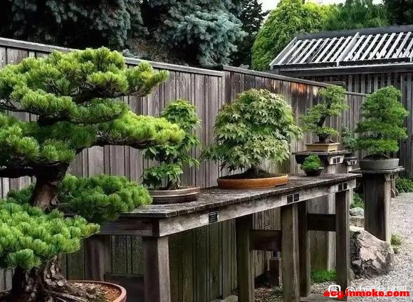 �辰Ϊʲô��С�ڰ��ã�-1.jpg