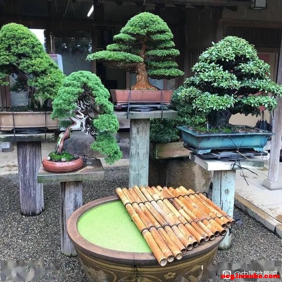 �辰Ϊʲô��С�ڰ��ã�-2.jpg