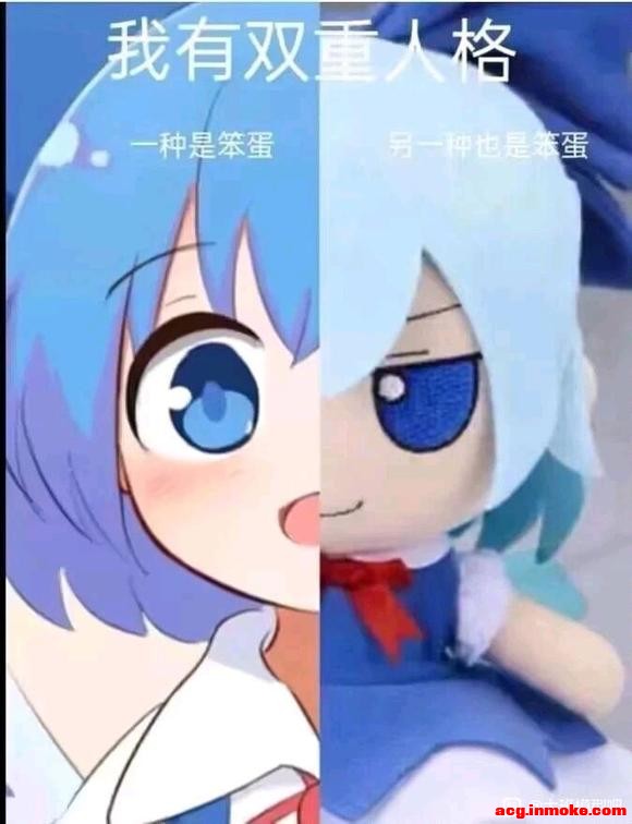 �п�����չͬһ��ٰ죬Ӧ��ȥ�ĸ��ð�-3.jpg