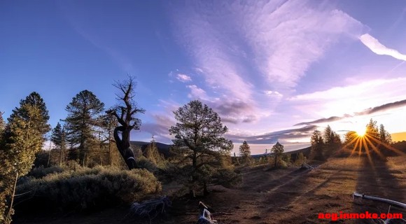 ���ŵĹ�â��Ϸ��ֽ��Ϯ�����������ɣ�-2.jpg