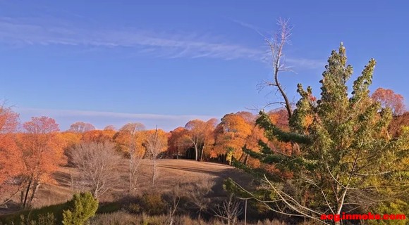 ���ŵĹ�â��Ϸ��ֽ��Ϯ�����������ɣ�-11.jpg