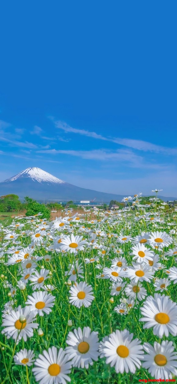 �Լ�ϲ�����콢��ֽ����������ң�-4.jpg