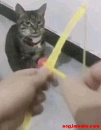 ����ȥ��չ�棬���ʻ���Ҫʲôװ��-2.jpg