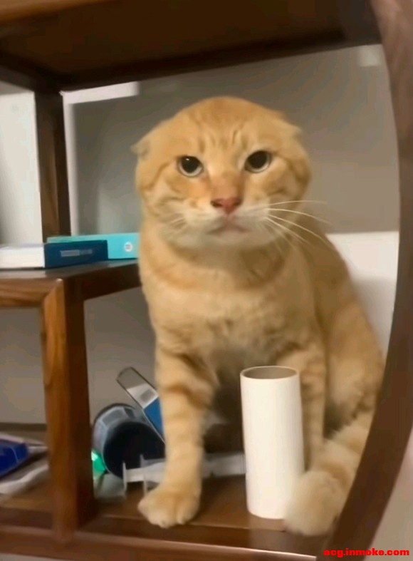 ����ȥ��չ�棬���ʻ���Ҫʲôװ��-3.jpg