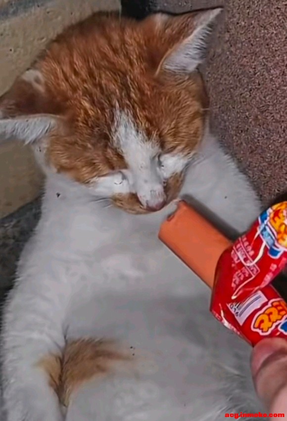 ����ȥ��չ�棬���ʻ���Ҫʲôװ��-4.jpg