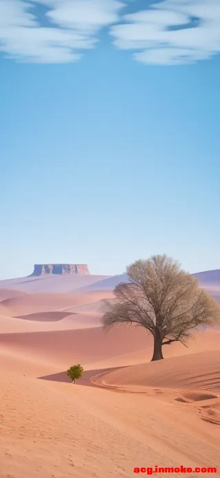 ս��1��Ϸ��ֽ������������ô���أ�-5.jpg