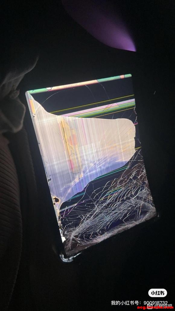 ���ֽ��������-1.jpg