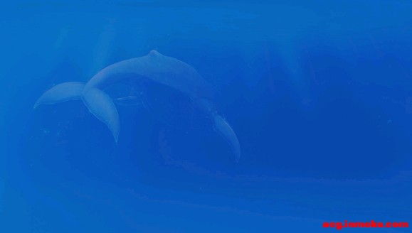 ����֮����ֽ-2.jpg