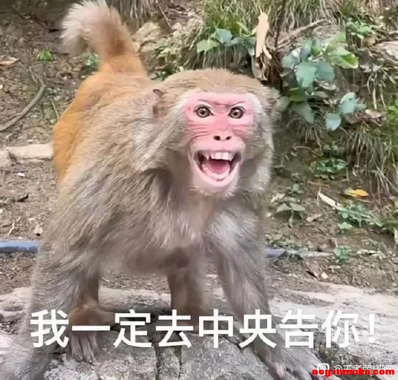 ��һֻcos����jk������-3.jpg