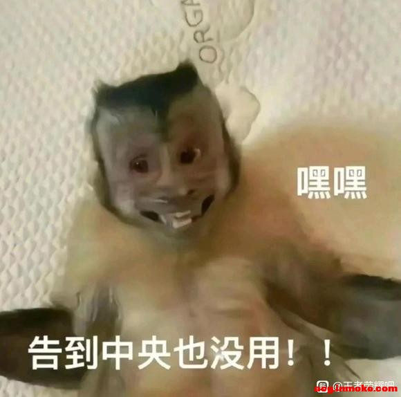 ��һֻcos����jk������-4.jpg