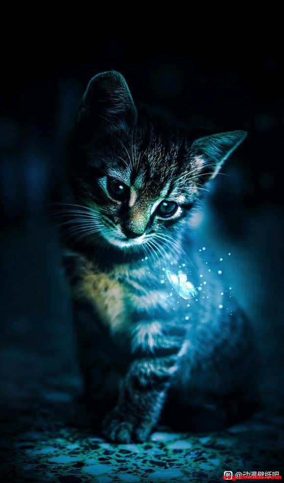 ������û�һ�ű�ֽ-1.jpg