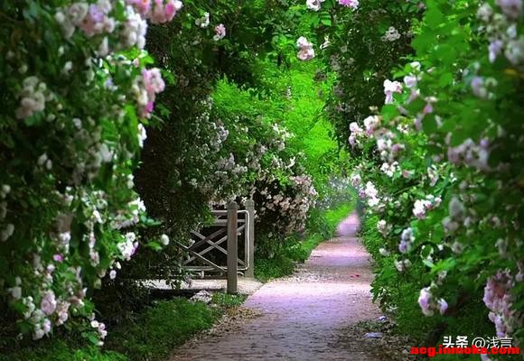 �ɶ��¶�����Ǿޱ�����ˣ���Ҫ��Ʊ������������ֱ�-7.jpg