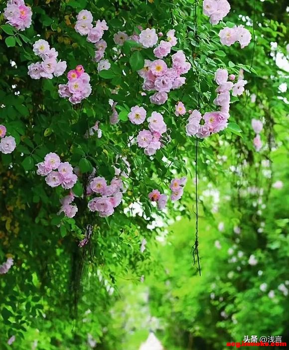 �ɶ��¶�����Ǿޱ�����ˣ���Ҫ��Ʊ������������ֱ�-8.jpg