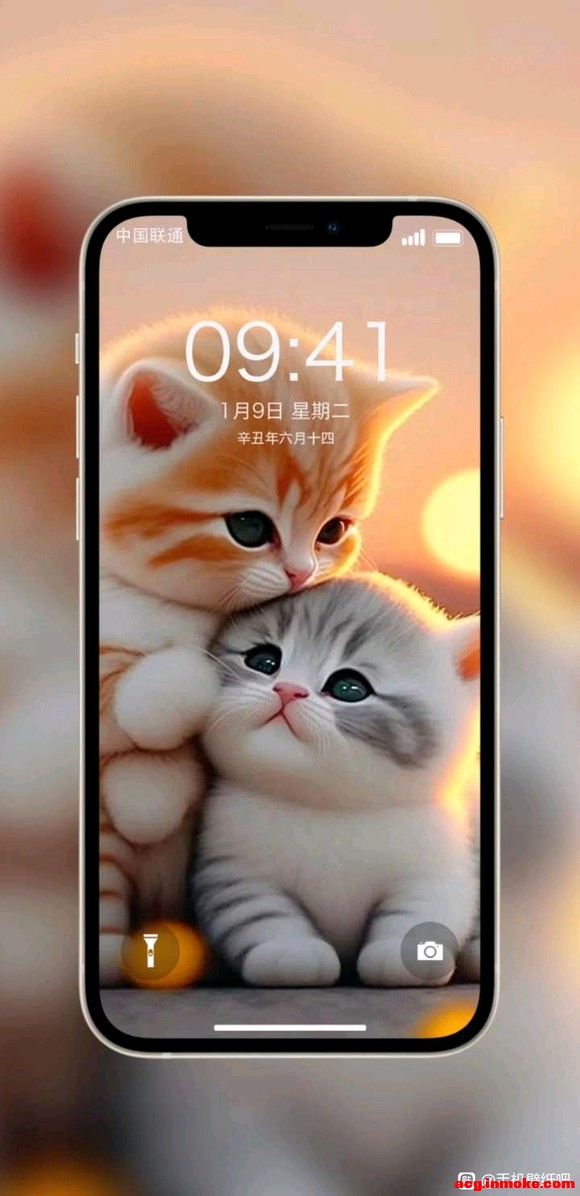 �����ֻ���ֽ����ԭͼ֨һ��-1.jpg