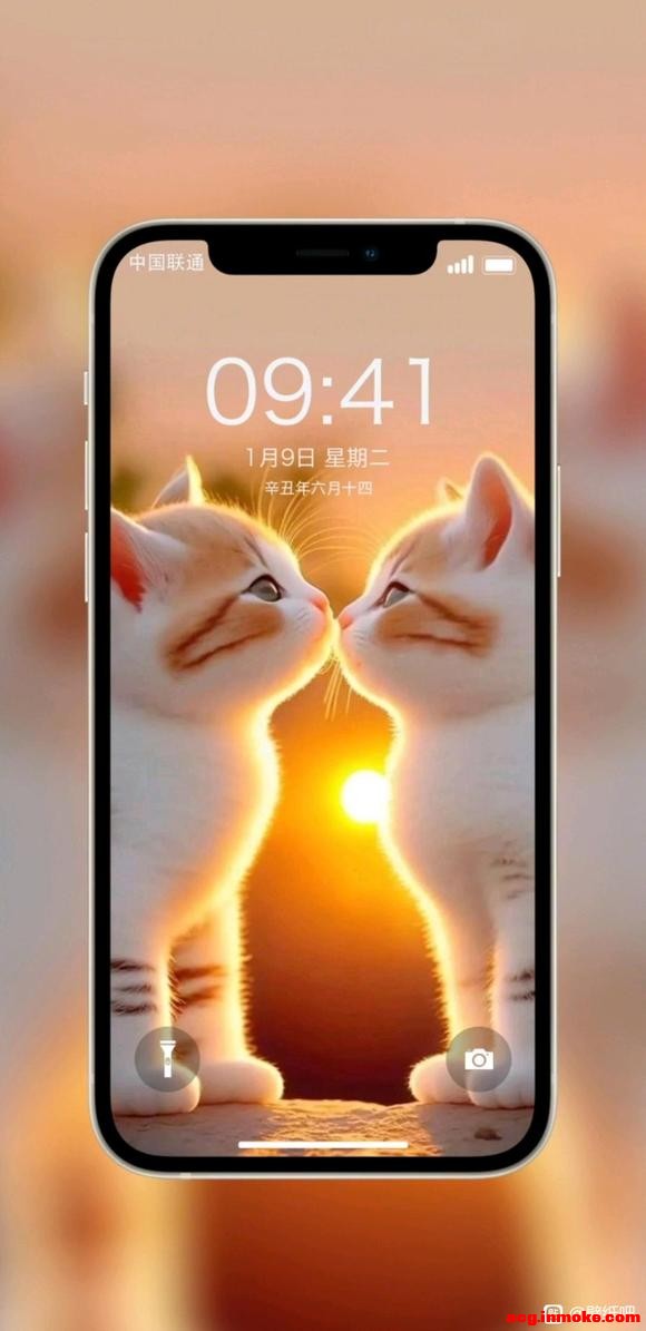 Ů�������õ��ֻ���ֽ��ԭͼ֨��-6.jpg