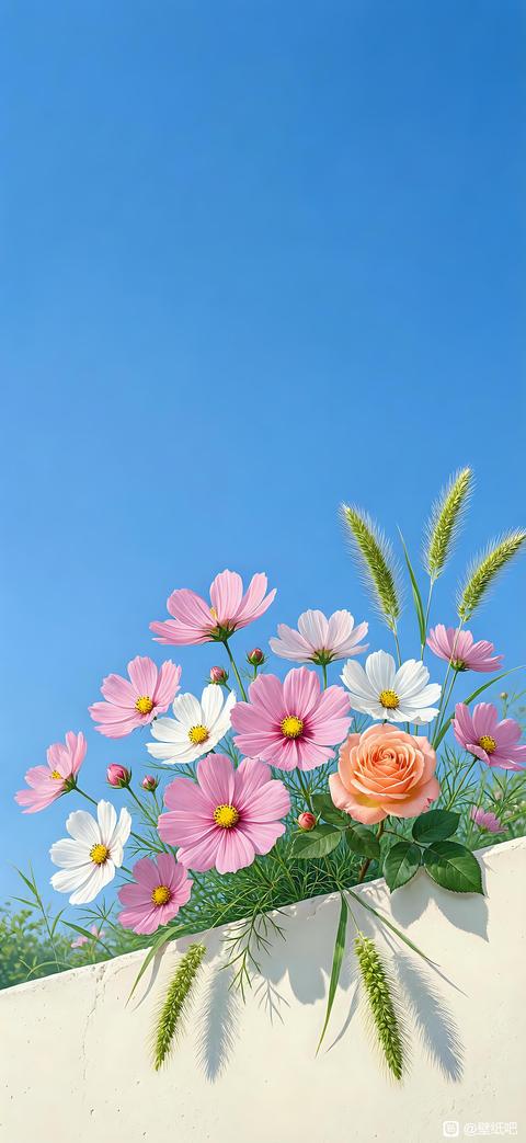tieba_10917565099_992e5dd29ecea511.jpg