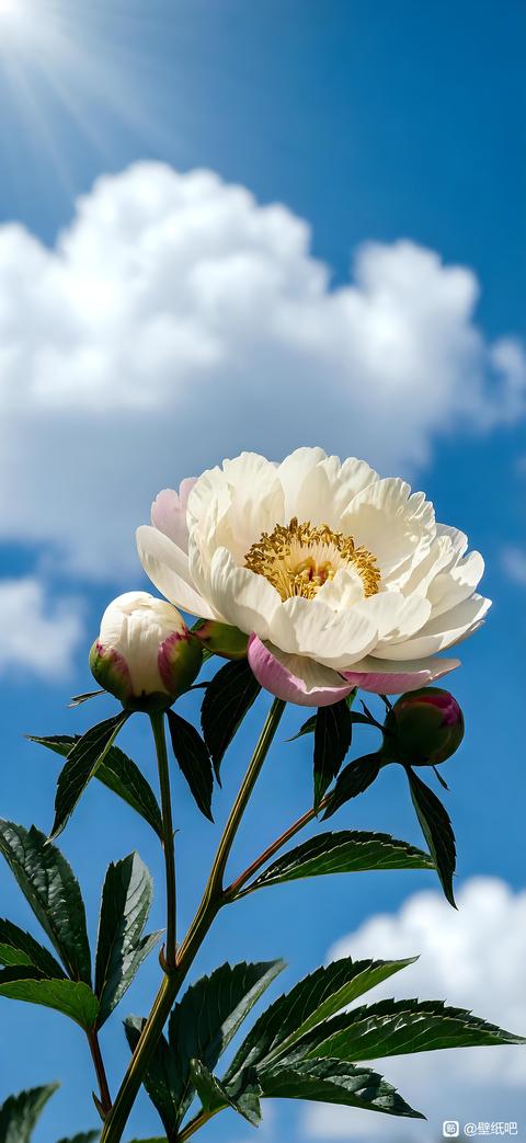 tieba_10937673942_7680a22f24fb2753.jpg