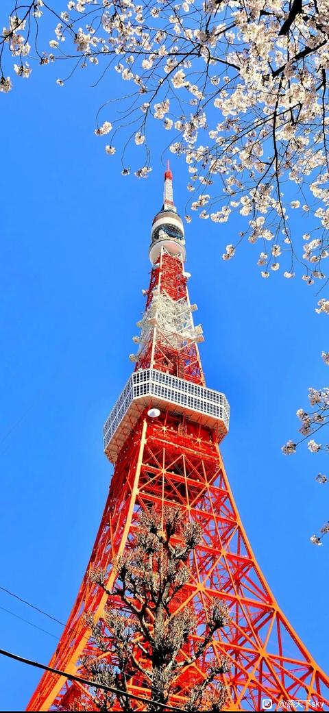 tieba_10947443065_4715efdc470f087a.jpg