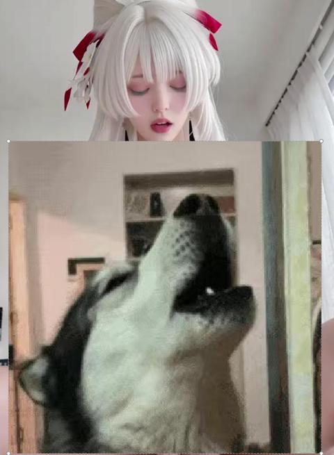 tieba_10985016260_cc5543e98c0ffbc0.jpg