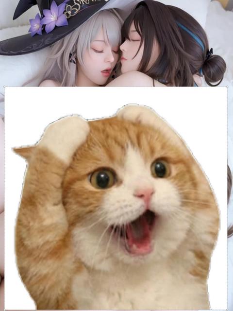 tieba_11002773773_49bd485ea26cf817.jpg