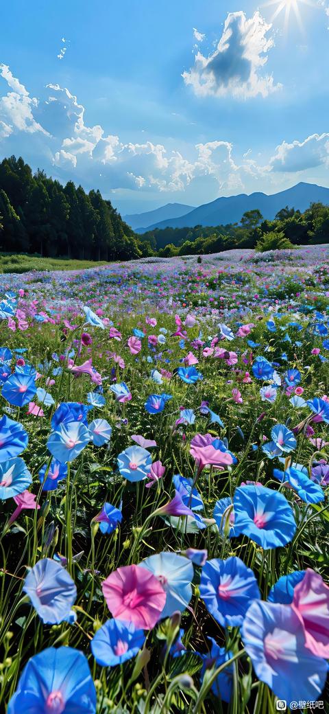 tieba_11004385000_eadf601277b7759b.jpg