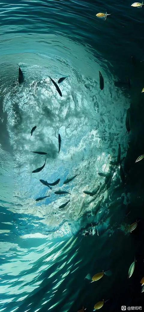 tieba_11060356300_c18fd05264974e1b.jpg