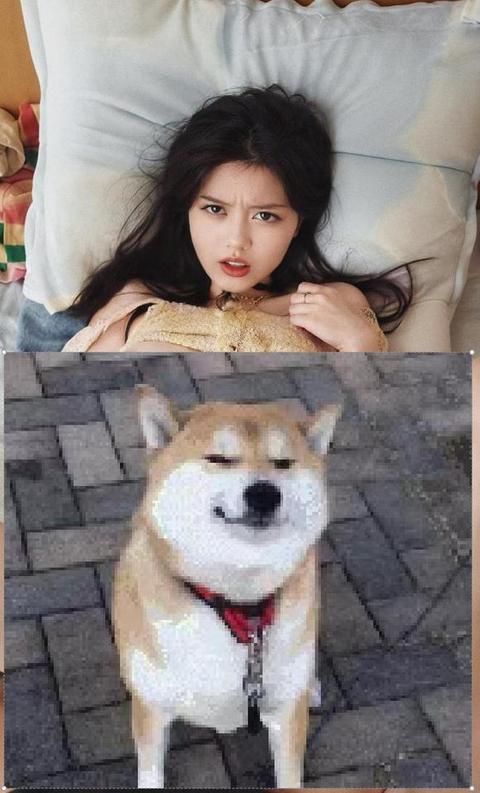 �����̫�ɰ��˰ɣ�����Ǳ�ֽ���е����ӣ�