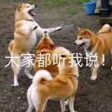 �����ˡ��ػ�����������ʹ