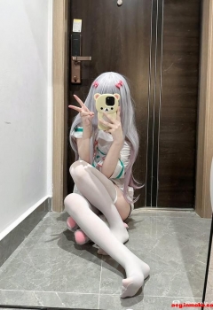 ��COS��Ƭ��С��ϵ�� ��ϵ����