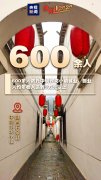 形成了企业、商家、农户共赢的局面