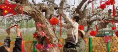白头偕老；而立之年仍未成婚者到此两拜
