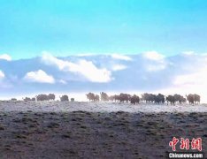 “因为阿雅克库木湖是一个封闭式的内陆咸水湖