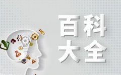 漫画妖精的尾巴剧情简介 妖精的尾巴结局