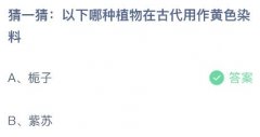 以下哪种植物在古代用作黄色染料？蚂蚁庄园小