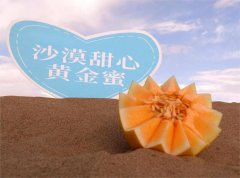 守护沙漠中的甜蜜
