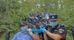 老人山中晕倒 警方及时赶到抬老人下山救