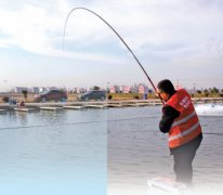 抛竿垂纶 静享悠然时光（健身视野）
