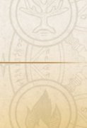 元素使只附身同属性的精灵