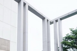 ǿ�����Ӱʦ���ᱧԹ����