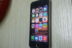 ��һ����ƻ��5