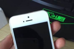 ת�ò����õ�iPhone5S��ɫ����