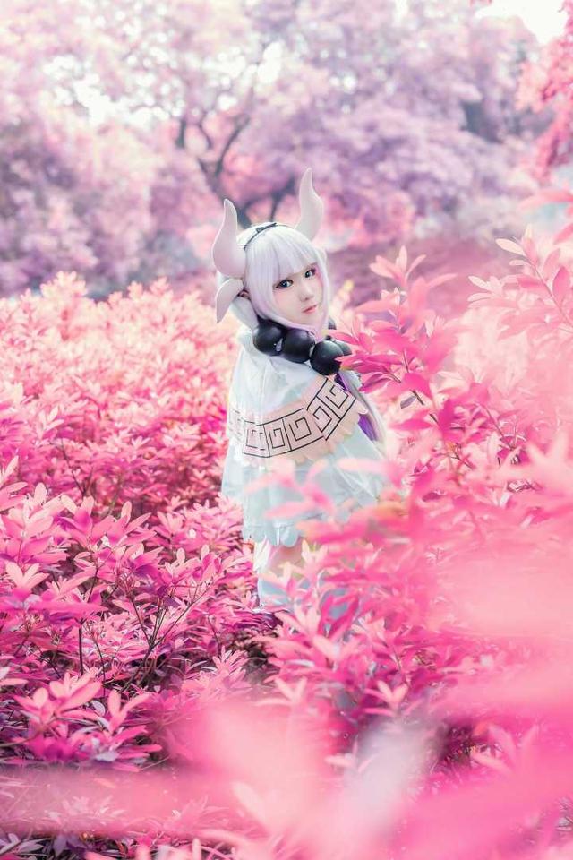 p895o5OrAV95W8Dc.jpg