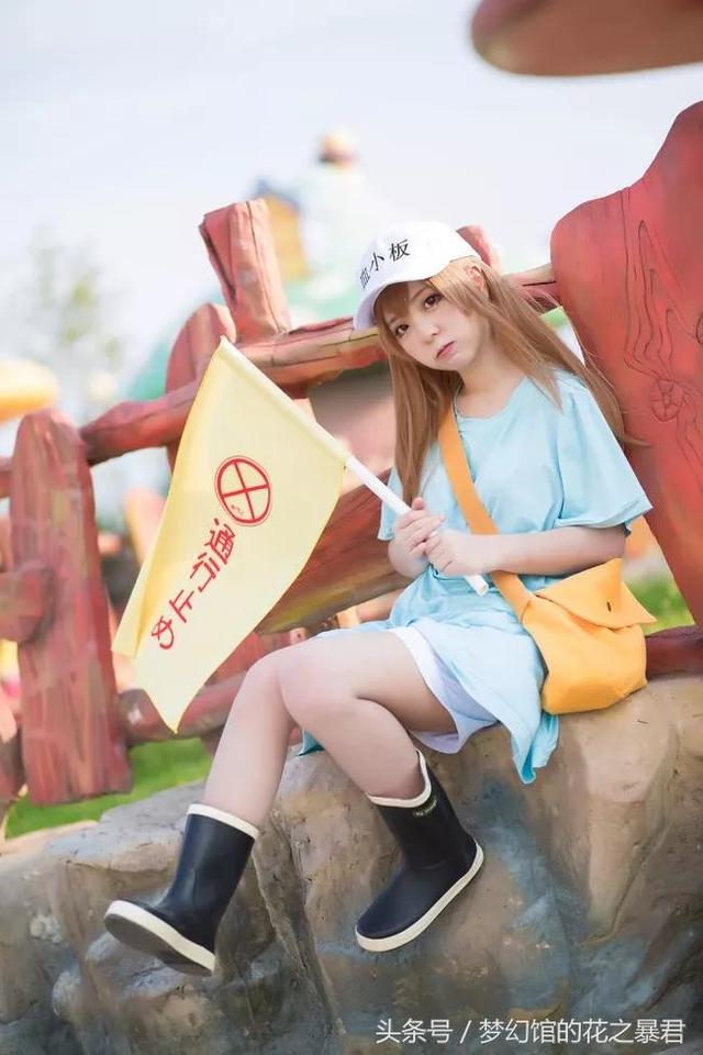 nT9c6TScATCTcP9F.jpg