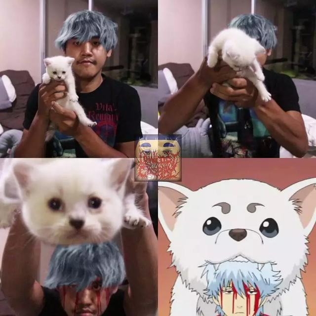 HAb4Z367bR3wxi0x.jpg